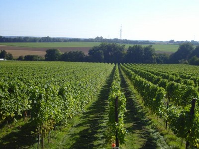 Domaine du Ry d'Argent