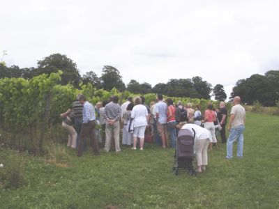visite du vignoble